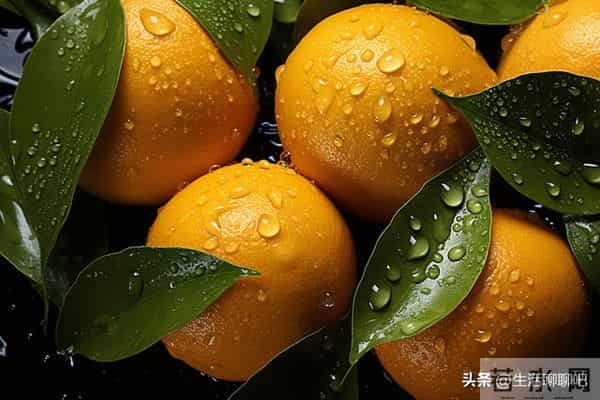 2025年脐橙市场走向何方?各产区最新市场收购行情