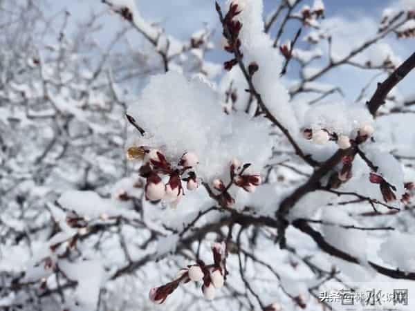 今年三九天不一般,“十年不遇”,今年冬天到底冷不冷?