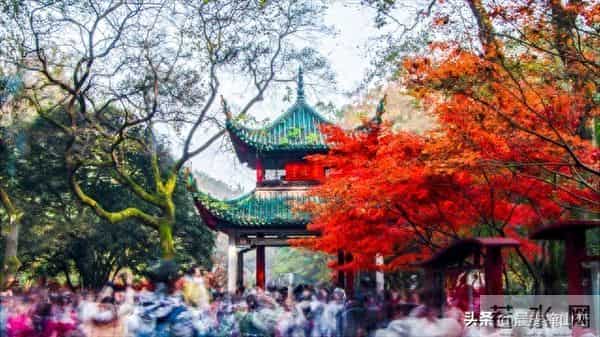 请想好，现在当村书记，就是坐在了火上烤