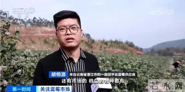 白菜1元-斤 小米辣25元-斤！云南农业有多牛？有人靠种地年销千万