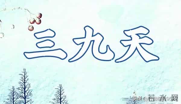 今冬三九全在冬月，千年农谚竟成真？今年是暖冬还是冷到哭？