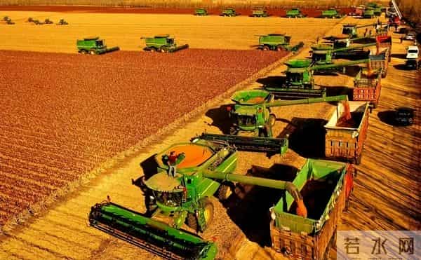 垄断中国90%粮食种子市场！美国若发动粮食战争，我们还有饭吃吗