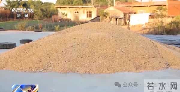 湖北襄阳一粮食经纪人发布卖粮短视频，遭遇新型“购粮洗钱”骗局，警方披露细节