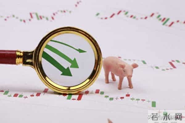 明日【2025.12.10】猪价：南方猛涨，北方疲软，价差高达2.2元-斤