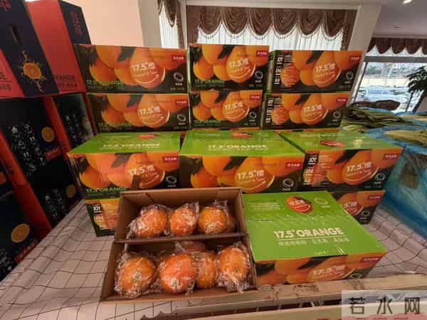 40万吨直供！无锡人明年买菜更省心