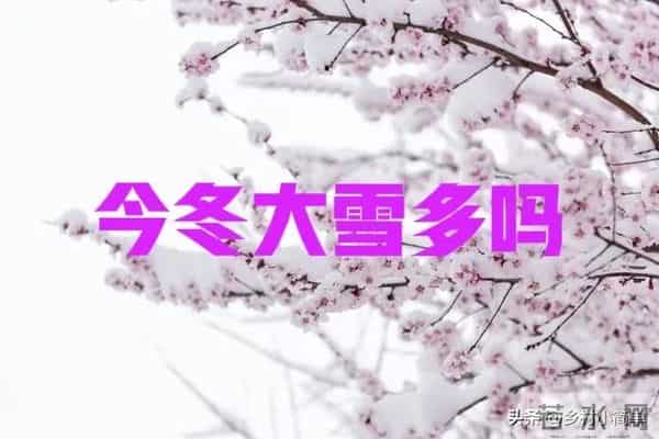 “冬至在头，热死老牛；冬至在中，大雪三尺”，今冬大雪多吗？
