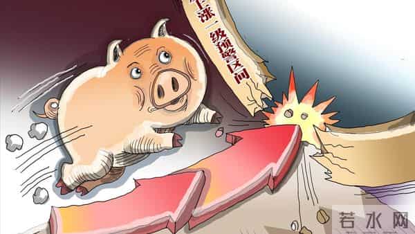 2025.12.15-明天猪价