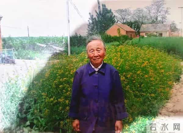 【今日头条】射阳县长荡镇胜利桥村:百岁寿星映家风 孝道如歌润小镇