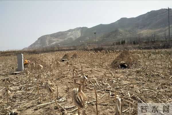 明年是马年，老人说“单春赤马劫，3人要穿红”，这3人是什么人？