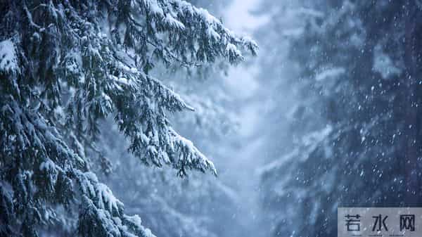 21号入九，今年入九不一般，总结“3大特点”，今冬会很冷吗？