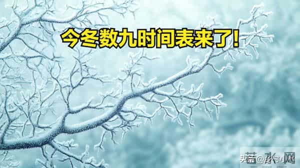 今冬数九时间表来了！从哪天开始入九？春节在几九？过年很冷吗？