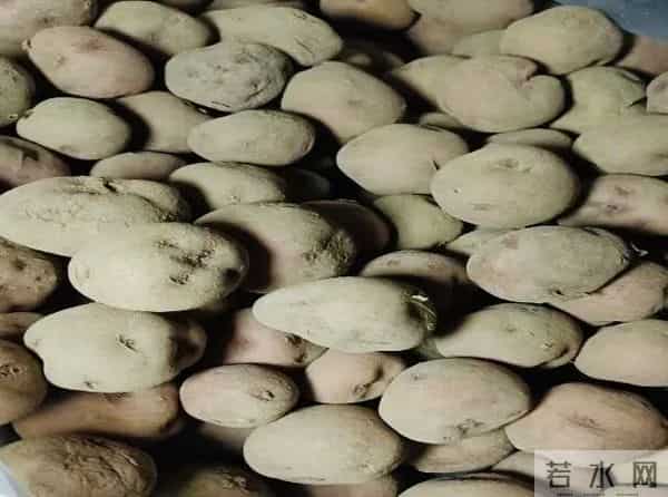 文梅专栏：记忆里的冬天味道