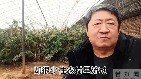 如果不出去打工，只在农村挣钱，到底难不难？