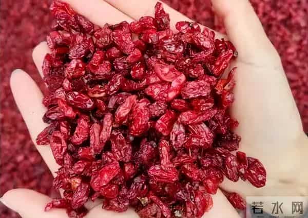 前两年躺赚，今年白干！减产六成的药材，后市还有翻盘机会吗？