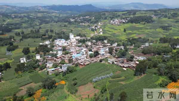 试种成功！弥勒的她年增收30万