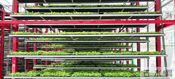 全市首个！巴南建成