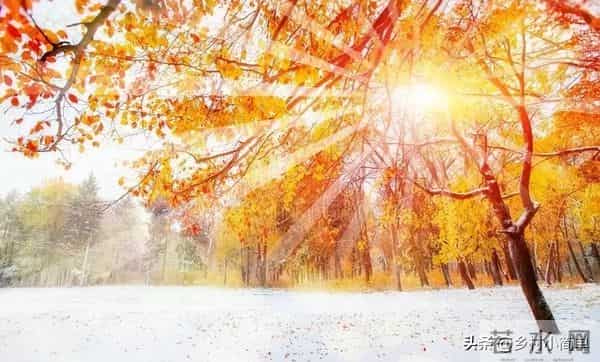 “冬至在头，热死老牛；冬至在中，大雪三尺”，今冬大雪多吗？