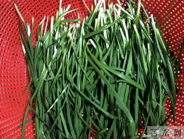 劝告:冬天,尽量不要买这5种蔬菜,看过就知道为什么!