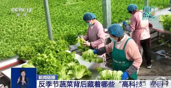 网传“反季节蔬菜吃了等于白吃”是真的吗？专家辟谣