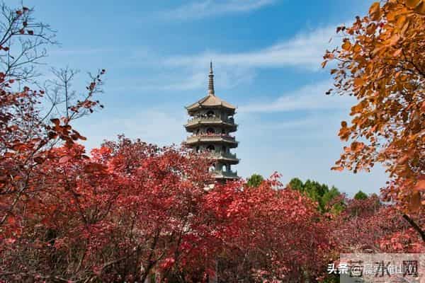 请想好，现在当村书记，就是坐在了火上烤