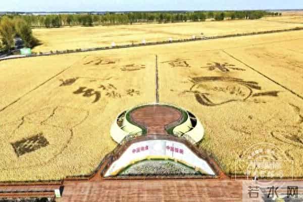 871.6亿斤！再创历史新高！连续5年超800亿斤