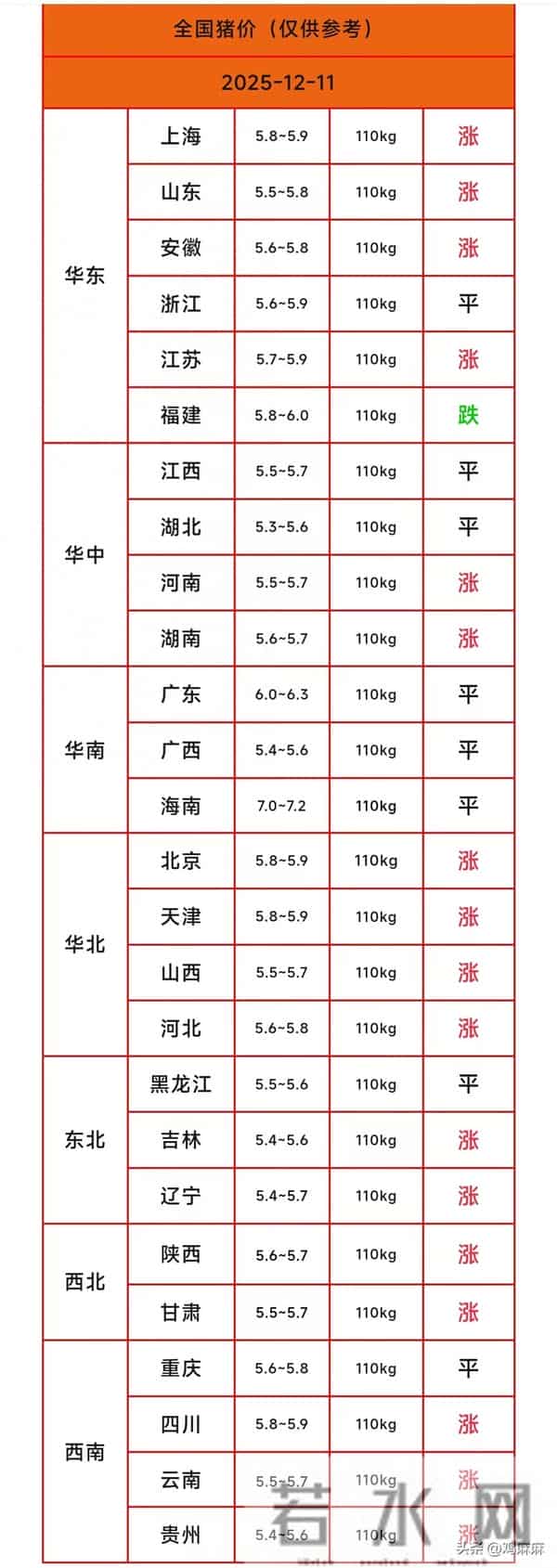 涨了，涨了，猪价上涨“势如破竹”！附：2025年12月11日 猪价