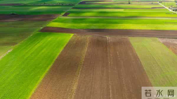 2026年粮补来准信了!玉米、小麦、大豆、水稻“四补一险”定了?补贴直达农户一卡通!明年种啥能赚钱?