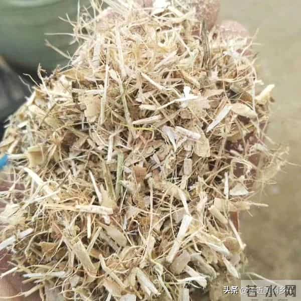 农村6种"零成本"饲料晒干粉碎喂羊，成本降一半！养殖户必看