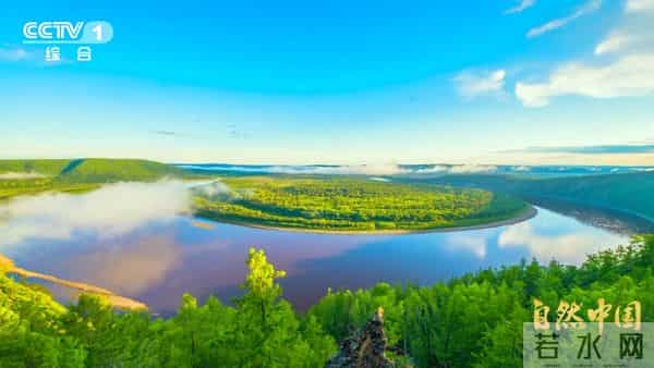 6.5亿亩林地、1万亿产值！林下万物给出的中国答案