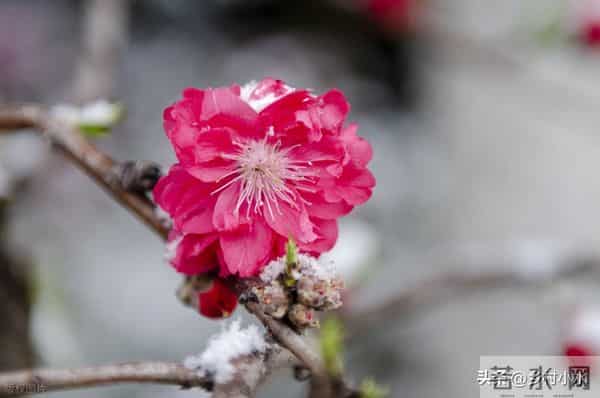 “冬至在头，冻死老牛；冬至在尾，二月很寒”，今年冬至在哪？