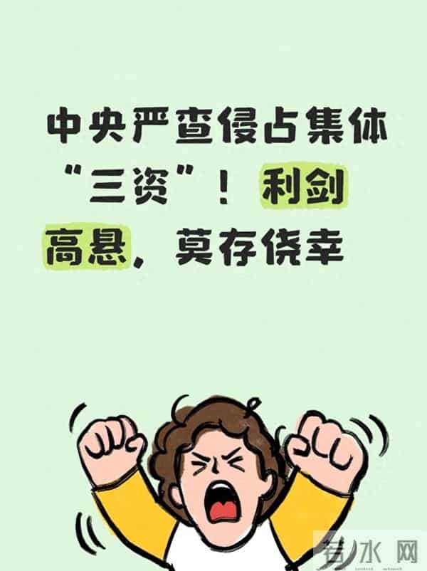 中央严查侵占集体“三资”！利剑高悬，莫存侥幸