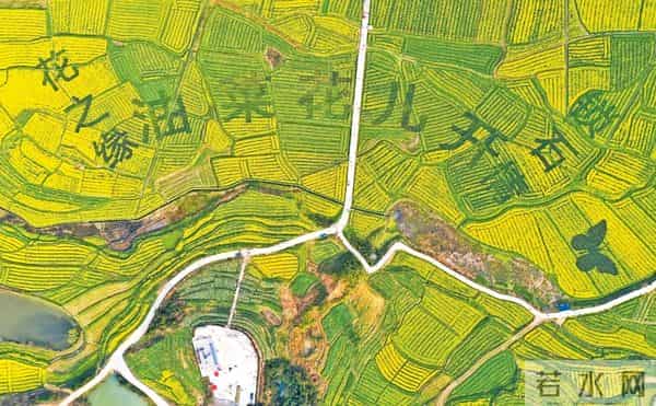 中央定调!未来五年农业这么干,件件关乎咱老百姓钱袋子和饭碗