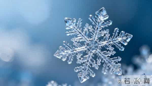 今年三九天不一般,“十年不遇”,今年冬天到底冷不冷?