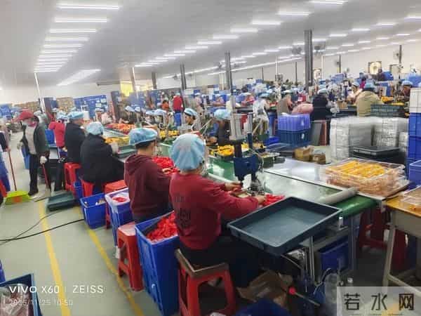 怀集大岗这家大型出口企业，正式投产运营！