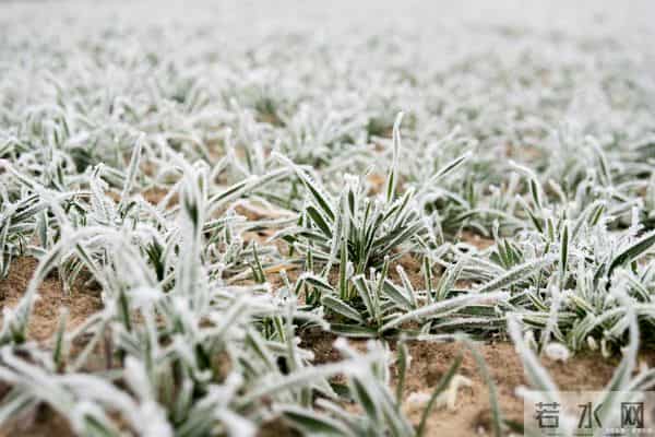 “上午冬至，暖烘烘；下午冬至，冻死牛”，今年冬至在几点？
