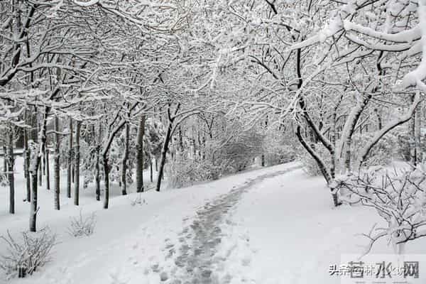 “大雪多不多，看十月廿一”，今日十月廿一，今冬是冷冬还是暖冬
