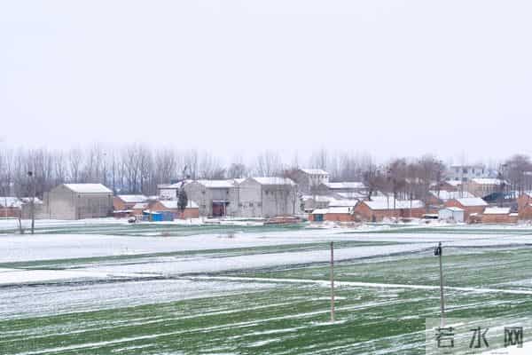 11月下旬播种的小麦，12月中旬刚出苗，遇到下雪能撒尿素吗？