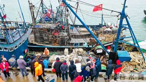 寒潮将至,渔港沸腾!今早,日照这里“鲜”货扎堆!这种鱼按筐买,4元一斤!