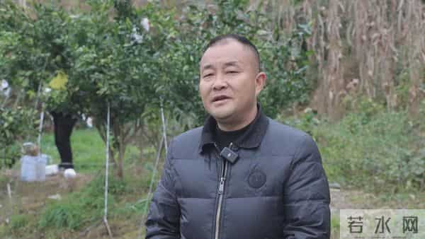 黔江千亩“红美人”迎丰收！