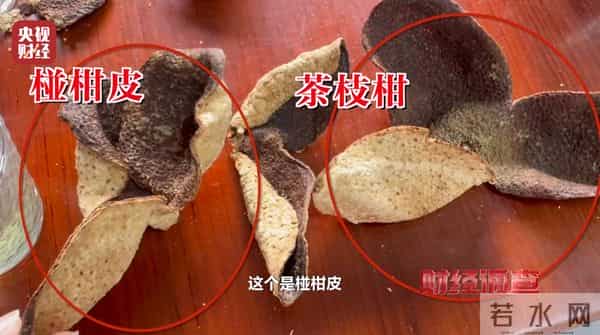 产地造假、年份速成、无视监管！总台《财经调查》曝光新会陈皮市场乱象