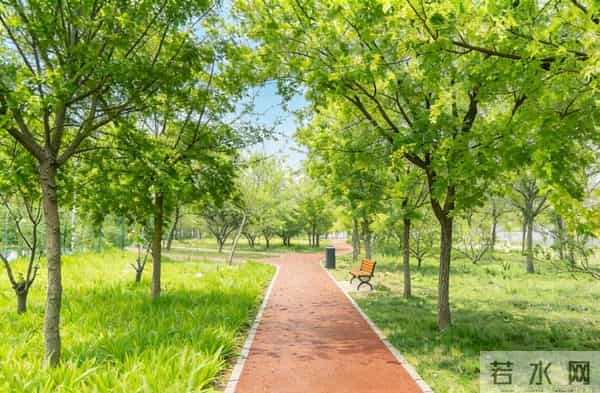 房山这四个村打造市级花园村庄样板！看看有您家吗？