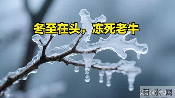 “冬至在头，冻死老牛；冬至在尾，二月很寒”，今年冬至在哪？