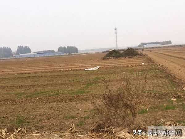 发现了吗？现在的河北农村，在浇地方式上，已经有了很大的变化