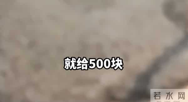 老太破坏水泥路后续:原因曝光,老太很委屈,村干部曝更多隐情