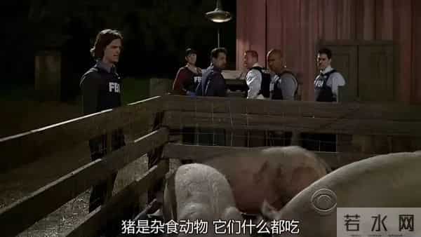 “年入20万”诱惑下，人们涌入河道淘金