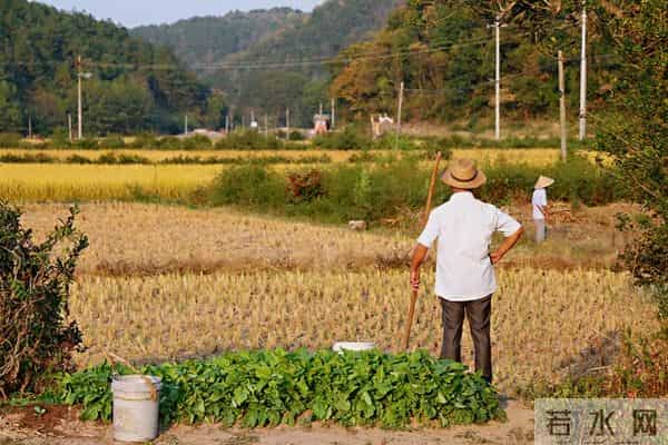 人老了，能不去农村养老，就别去，不信问问农村亲戚