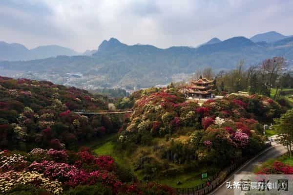 请想好，现在当村书记，就是坐在了火上烤