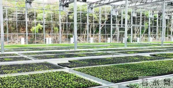 全市首个！巴南建成