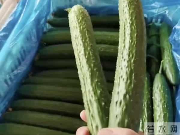 云南霜冻+山东暴雪，蔬菜价格再次起飞！盘点3种行情疯涨的农产品