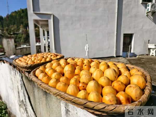 富阳这个网红村，游客车辆从山脚排到村里！
